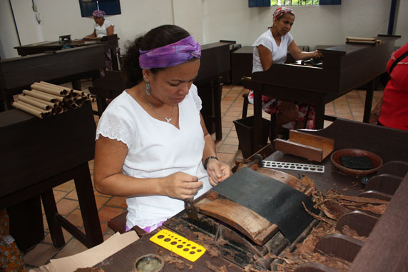 Detalhe do processo de preparação artesanal do charuto